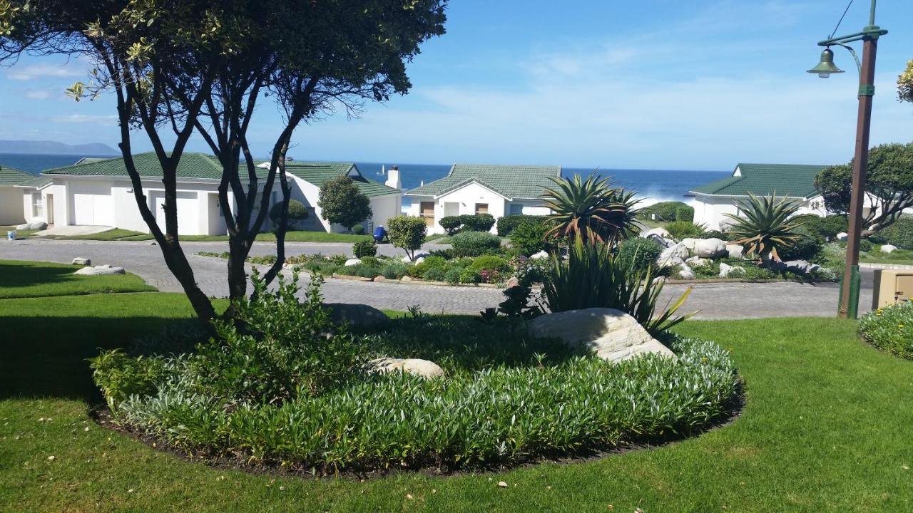 Ferienwohnung The Potting Shed Self Catering Hermanus Exterior foto