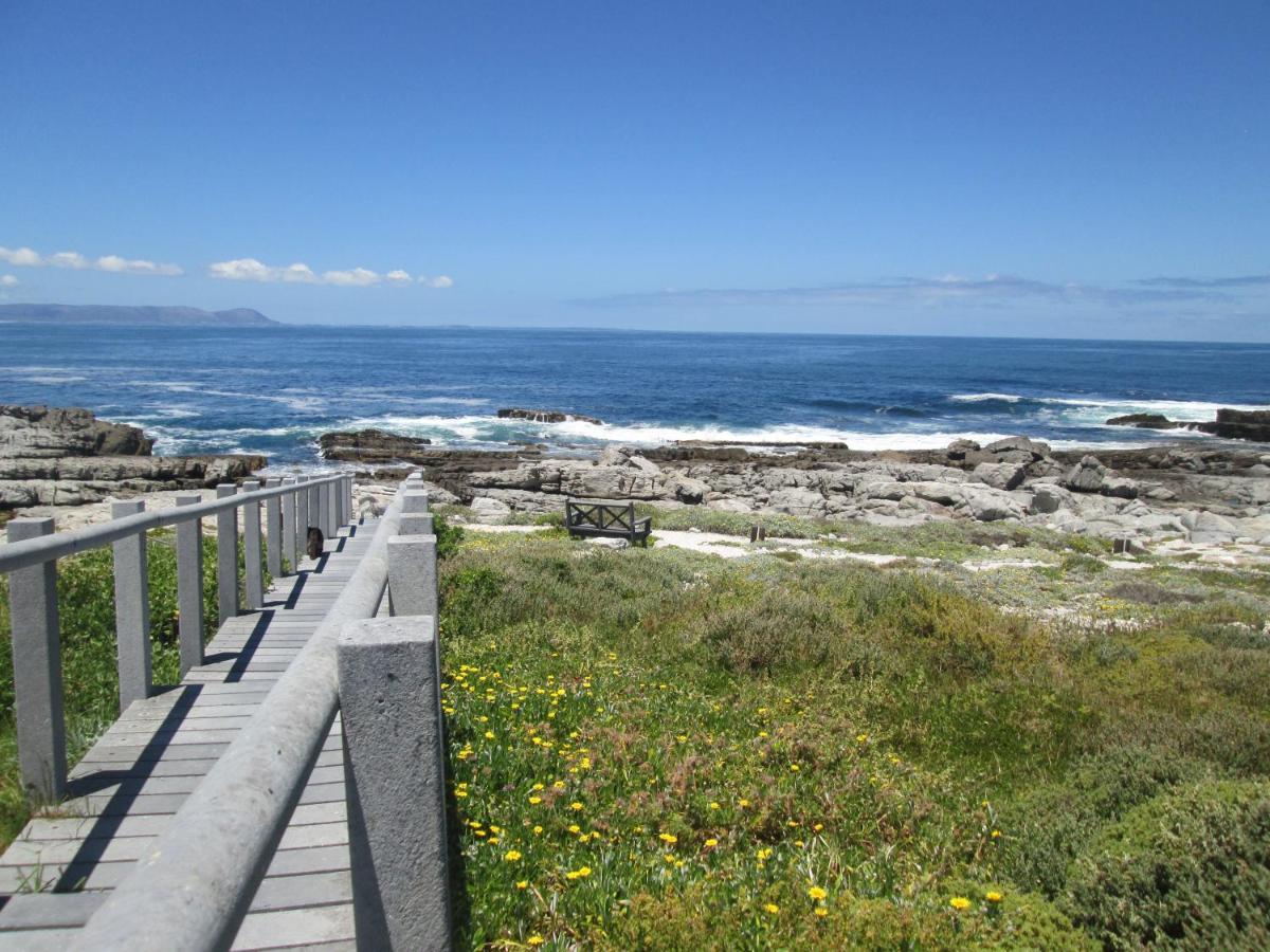 Ferienwohnung The Potting Shed Self Catering Hermanus Exterior foto