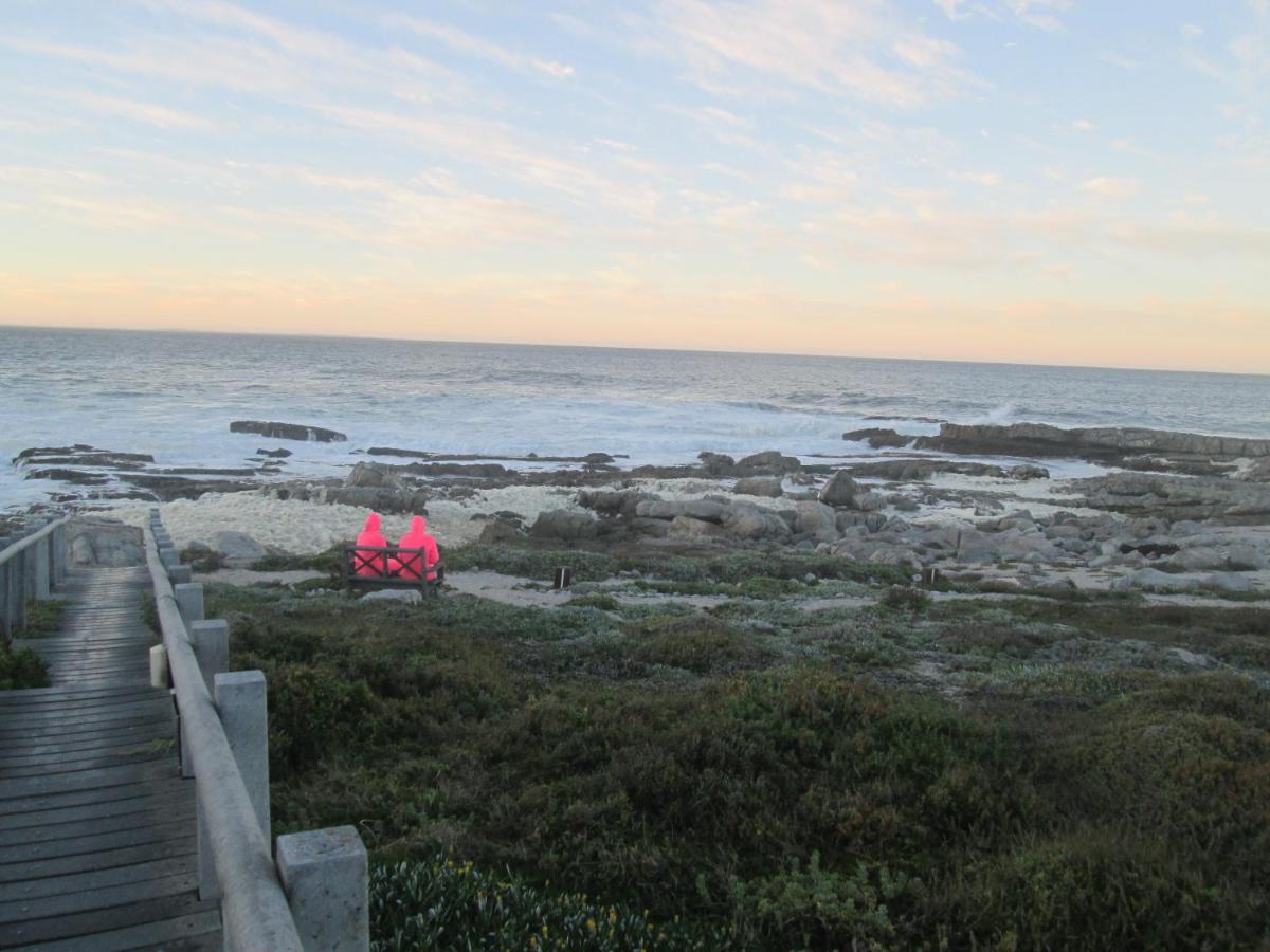 Ferienwohnung The Potting Shed Self Catering Hermanus Exterior foto