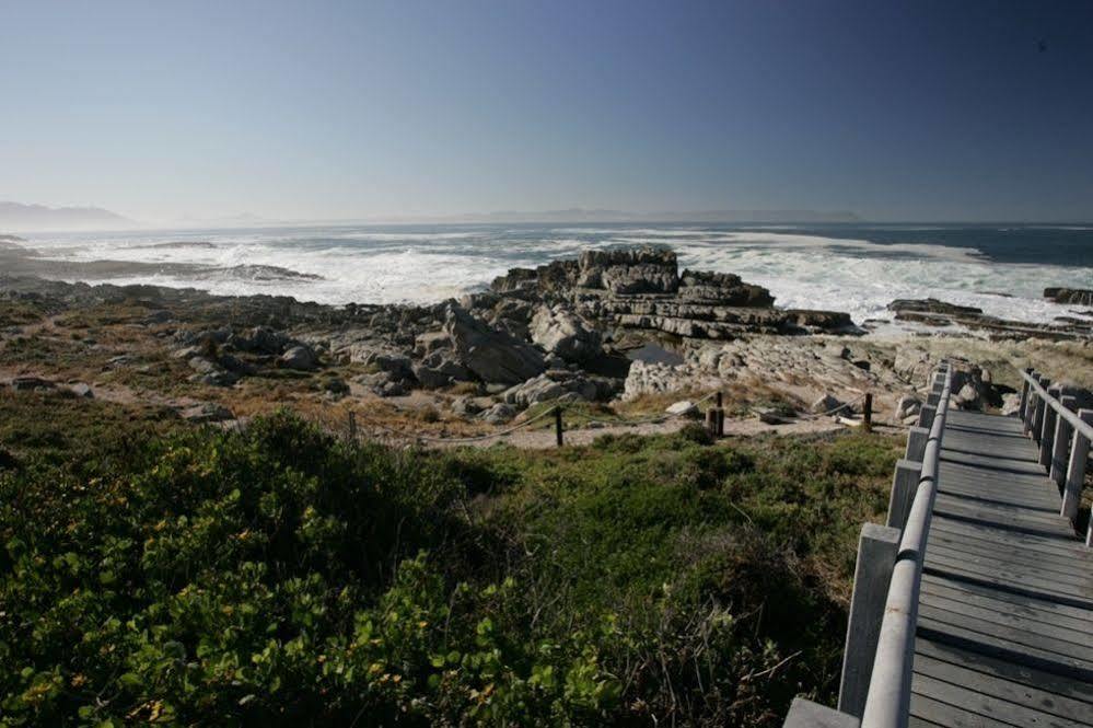 Ferienwohnung The Potting Shed Self Catering Hermanus Exterior foto